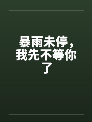 暴雨未停，我先不等你了封面
