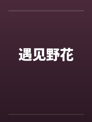 遇见野花封面