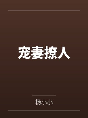 宠妻全文第1卷封面